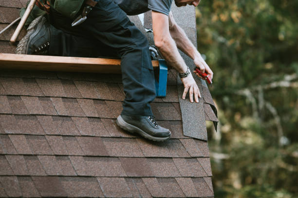 Best Best Roofing Contractors  in Buenaventura Lakes, FL